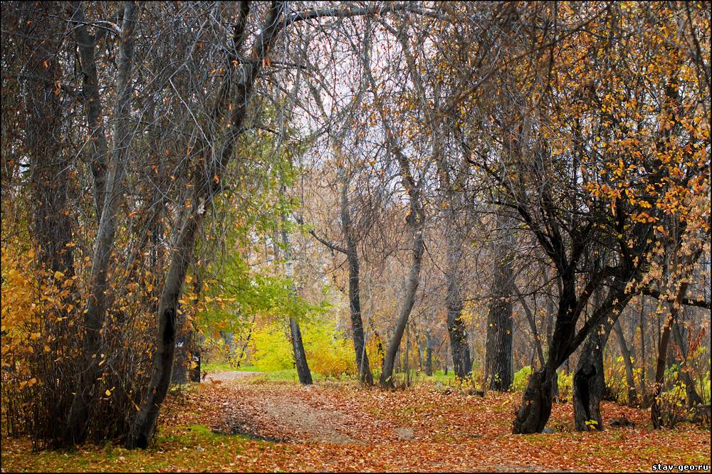 Иркутск октябрь. Иркутск осень. Иркутск осенью. Осень в Иркутске октябрь. Ранняя осень в Иркутске.